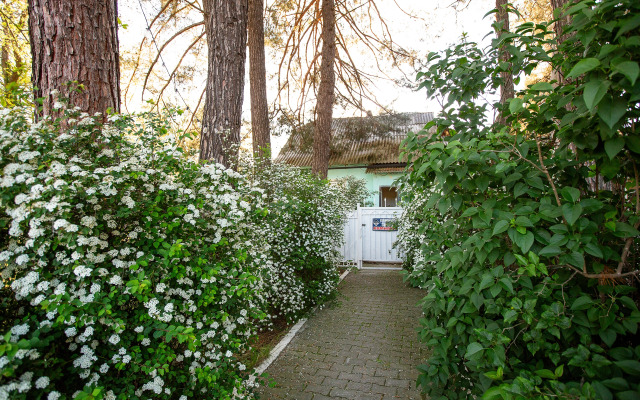 Guest house Usadyba