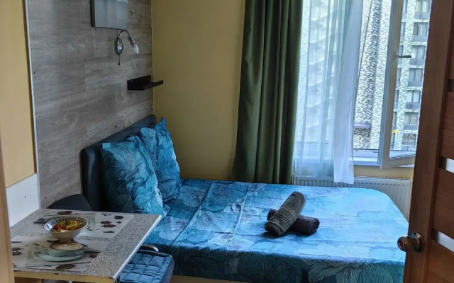 Vidnoye Apartments
