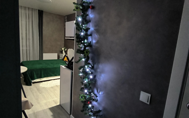 Квартира Атмосферная студия