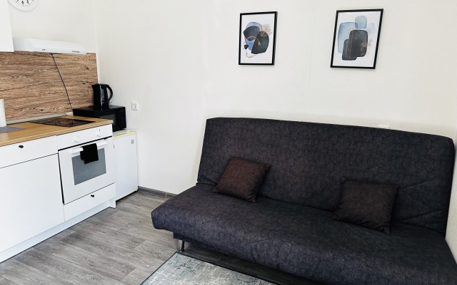 Evo Park Tsentr Goroda Flat