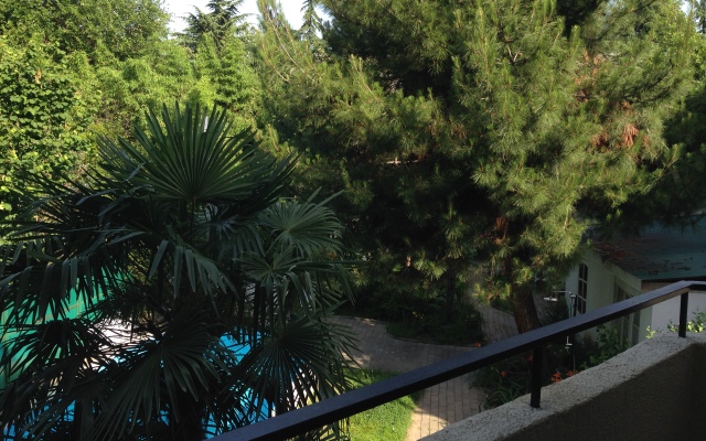 Okeanik Guest house
