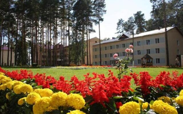 Krasnaya Gvozdika Sanatorium