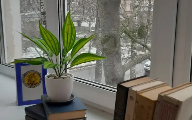 Квартира на набережной Александра Невского