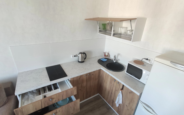 1-Komnatnaya Formata Evpodvushki Flat