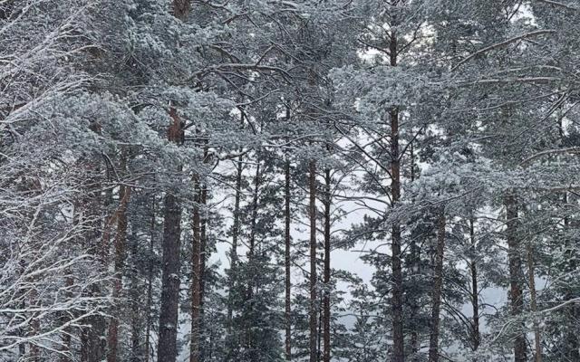 База Отдыха Шелест