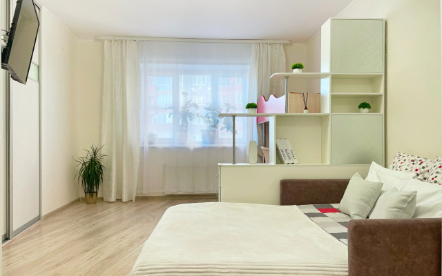 Odnokomnatnaya Flat
