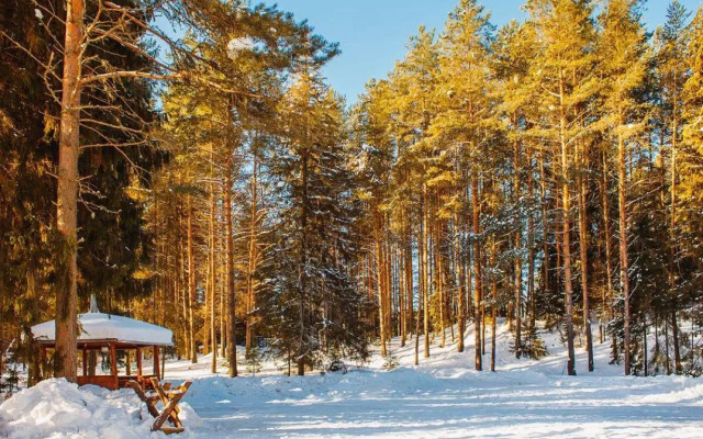 Recreation camp Severnaya zvezda
