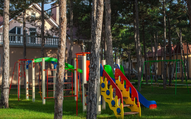 Отель Alma Park Resort