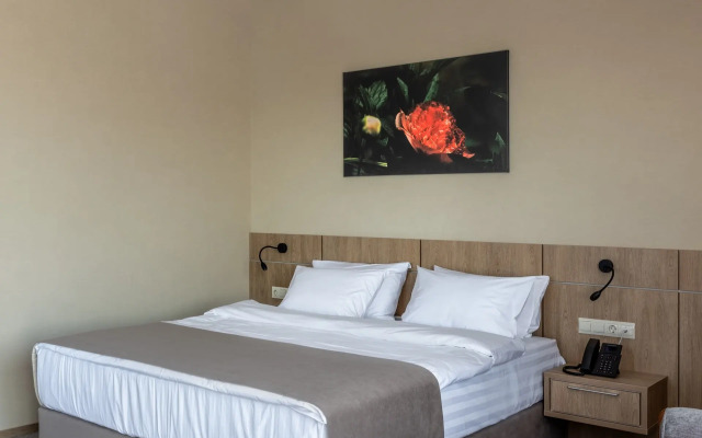 Hotel Pion