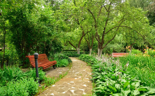 Revital Park Spa Hotel