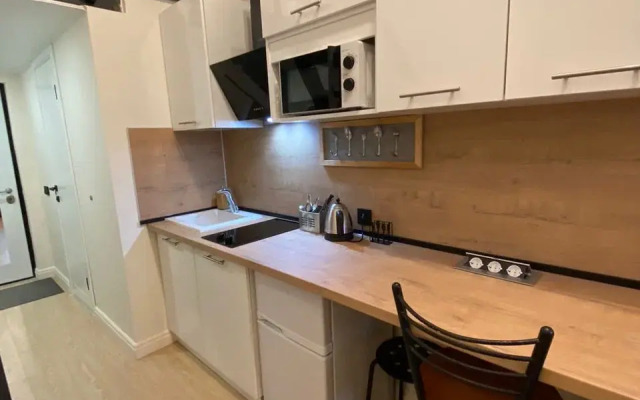 Апартаменты Уютная квартира-студия у метро Зюзино