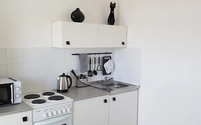 Koptevo Baykal Apartment