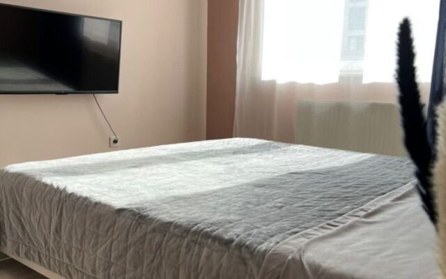 Квартира на фрунзенском