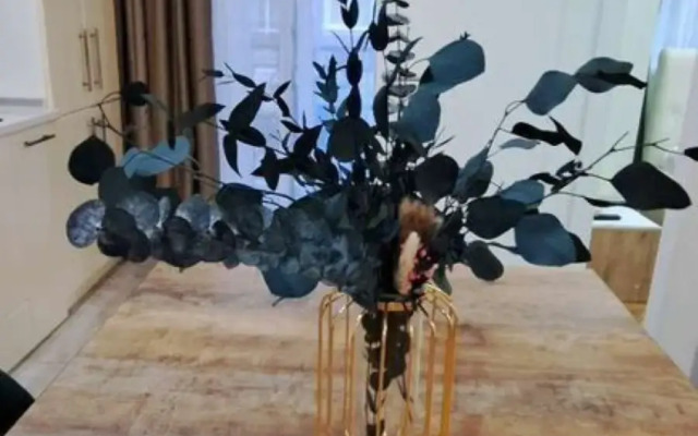 Dlya Komfortnogo Prozhivaniya V Sochi Apartments