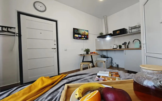 Квартира Студия на 2х на Тухачевского 49/1-15