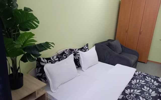 Tsentr Gostepriimstva Flat