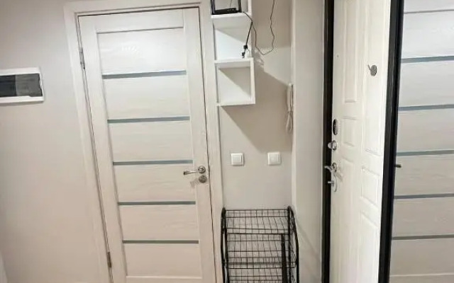 Svetlaya s Balkonom Flat