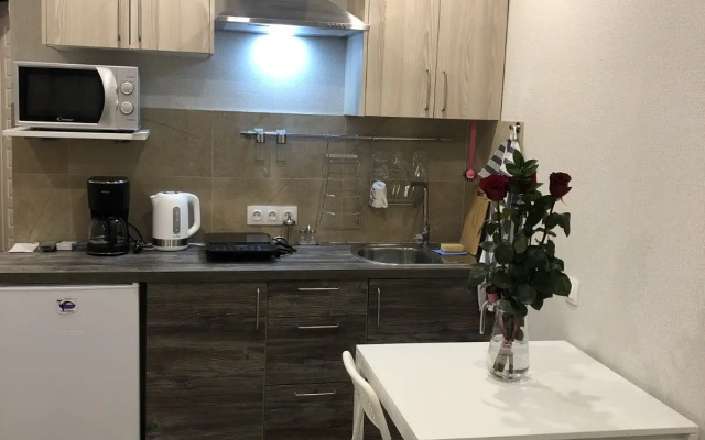 Komfortnaya Studiya V Zhukovskom Flat