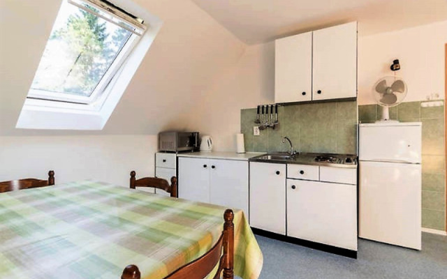 Self-Catering Bohinj Apartments