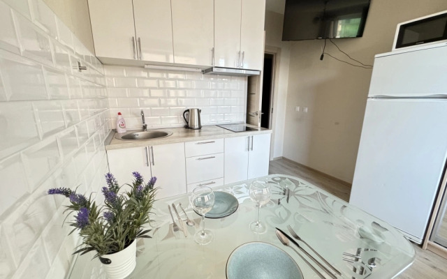 Studiya Standartnaya Layk Mily Dom Apartments