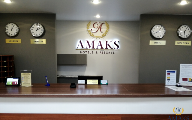 Hotel Amaks city