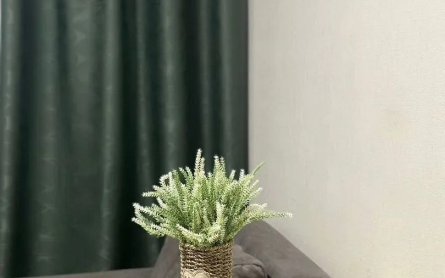 Апартаменты однокомнатные на проспекте Куприна 36к1