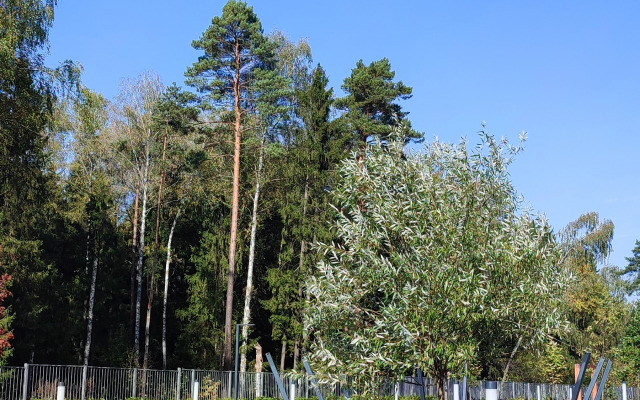 Квартира Студия для двоих в ЖК Серебрица