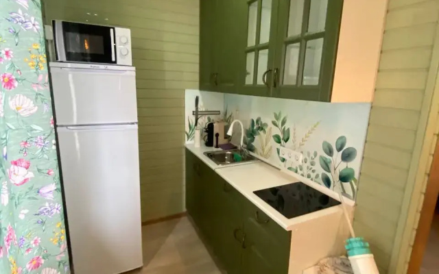 Частный дом у реки Паша