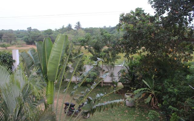 All view resort