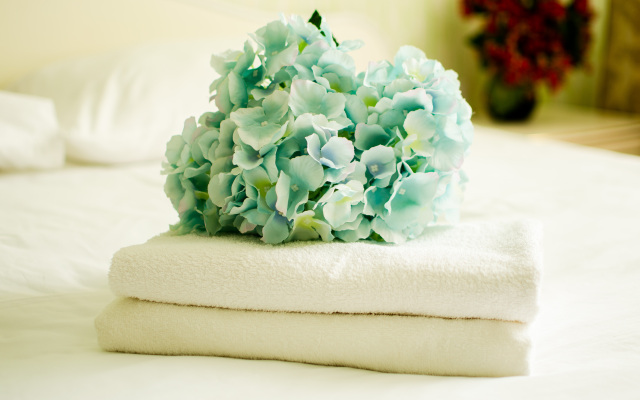 Квартира Апартаменты Квартирный Вопрос на Нахимова 8А