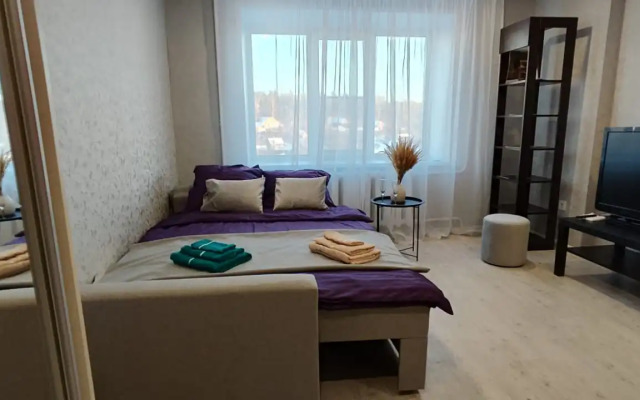 Квартира 1 комнатная  Квартира рядом с парком Швейцария