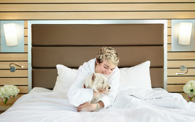 Отель Mercure Sochi Center