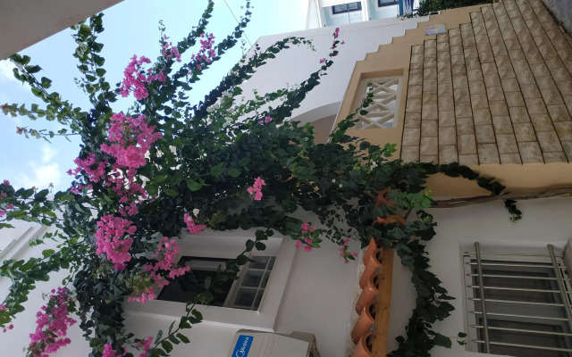 Отель Renia Studios