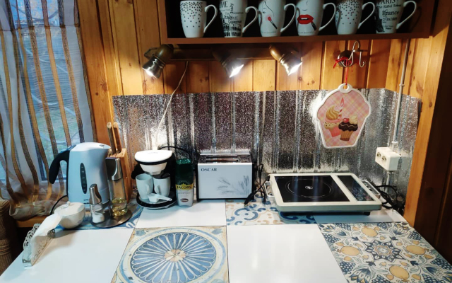 S Baney Matryoshka Guest House
