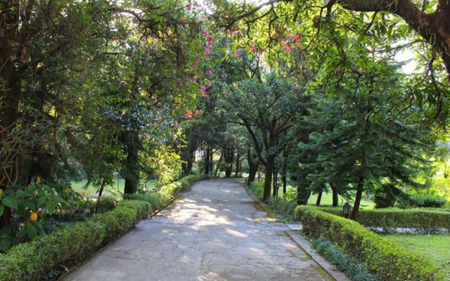 Отель WelcomHeritage Taragarh Palace