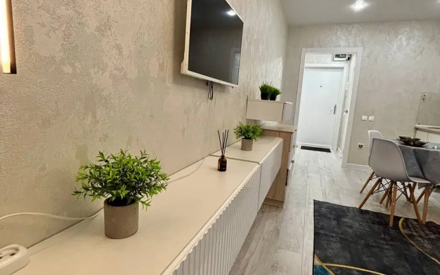 Uyutnaya Studiya V Tsentralnom Rayone Goroda Flat