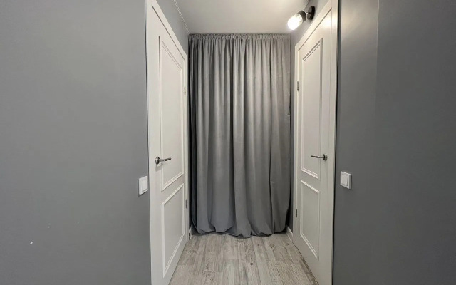 Квартира на проспекте Луначарского 20