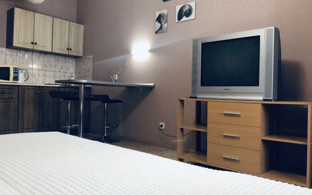 Квартира студия у трассы М4 Дон