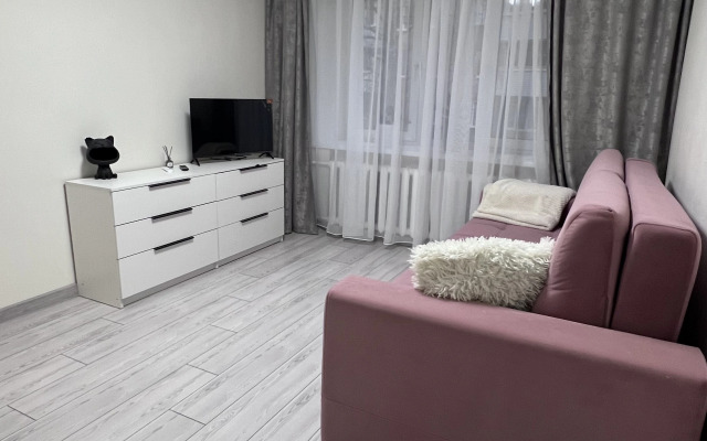 Квартира в самом центре с новым ремонтом