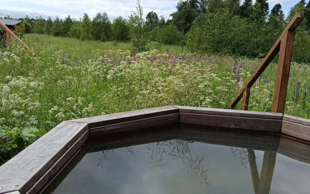 Частный дом Кипарис на поле