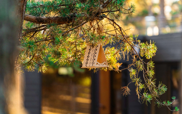 Глэмпинг Тунгуска Архыз