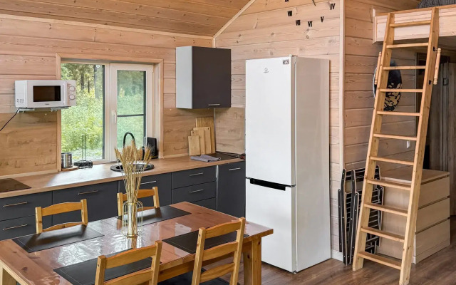 Частный дом Scandi house