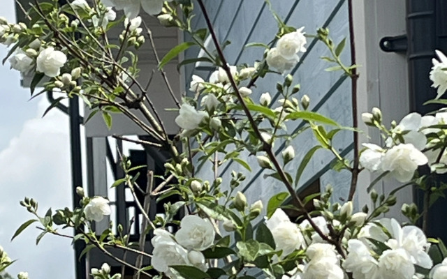 Апартаменты Усадьба в Суздале