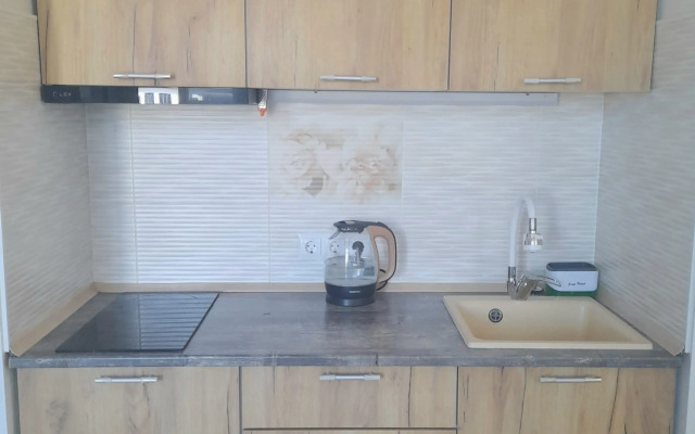 Studiya v tikhom rayone Flat