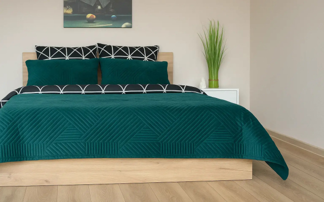 Apartamenty Lesnaa Garmonia