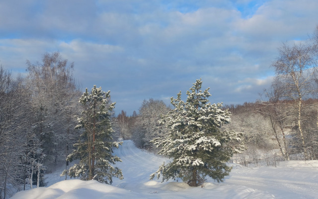 Частный Лесной дом Речная Заимка