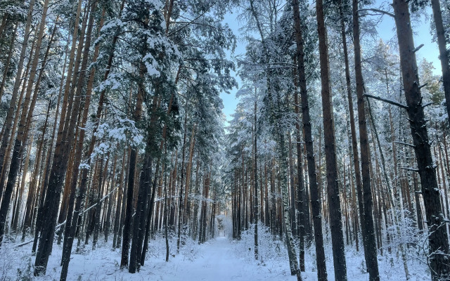 Глэмпинг А-Ферма