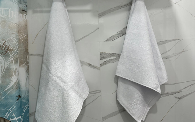 Квартира Family ( Апартаменты г. Кисловодск)