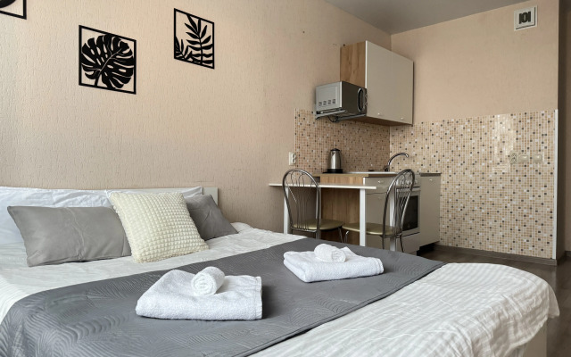 Апартаменты Batasheva Apart