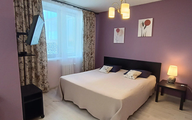 Апартаменты Библиотечная 45 #1